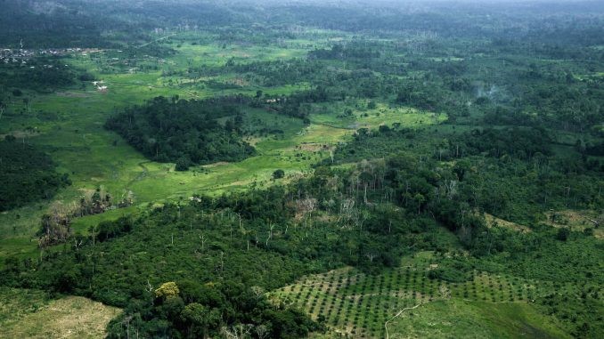 Photo de couverture du Bénin